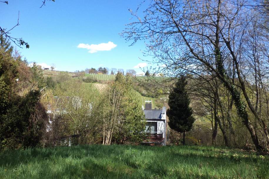 Traumhaus in 1190 Wien - 180m², 6 Zimmer, großer Garten, Balkone, Terrasse, Stellplatz uvm., Haus-kauf, 1.480.000,€, 1190 Wien 19., Döbling