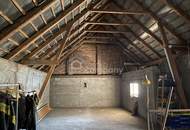 Viel Raum im Paradies