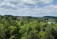 Historische Villa mit Charme und Potenzial in traumhafter Ruhelage