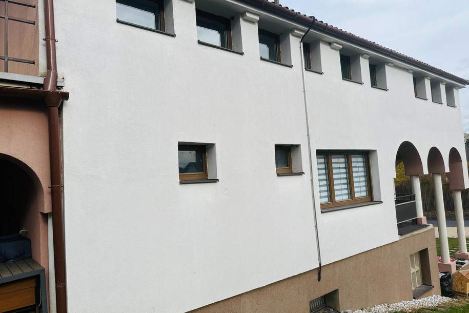 Sonderobjekt - Ein/ Mehrfamilienhaus, Business, Co- Housing zwei Wohneinheiten, Haus-kauf, 749.999,€, 2425 Neusiedl am See