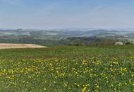 Bauernhof, Landwirtschaft, Alleinlage, Aussichtslage