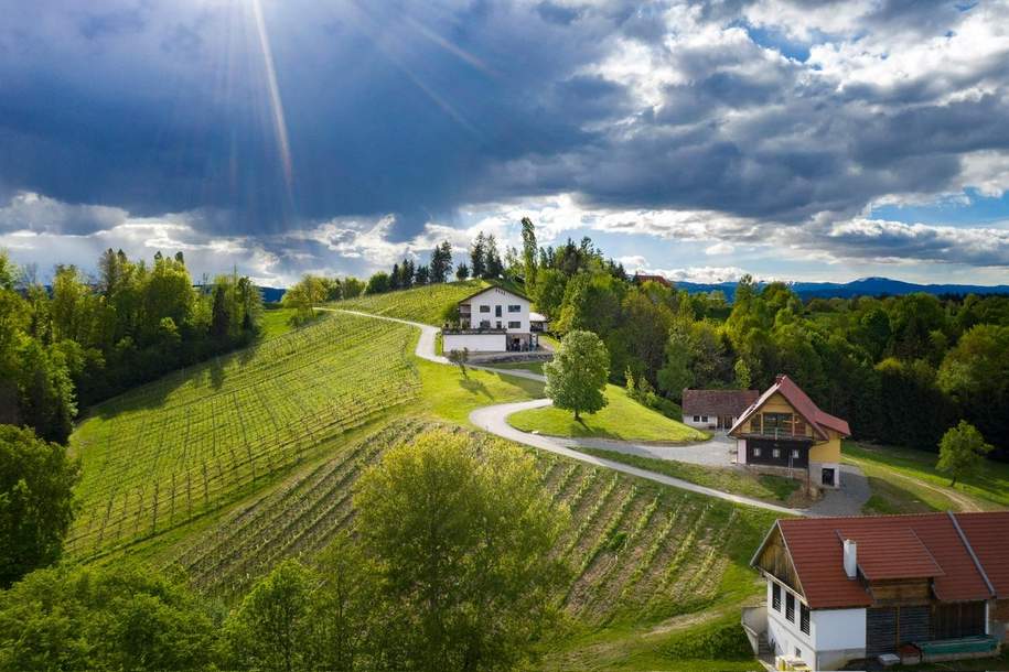 Weingut in einmaliger Alleinlage in der Südweststeiermark, Gewerbeobjekt-kauf, 8544 Deutschlandsberg