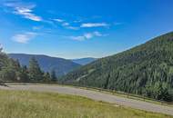 ALM-CHALET 5 - Freizeitwohnsitz in Toplage