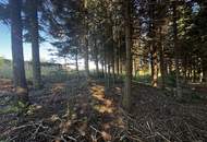 Einzigartige Liegenschaft mit Wald und Panorama