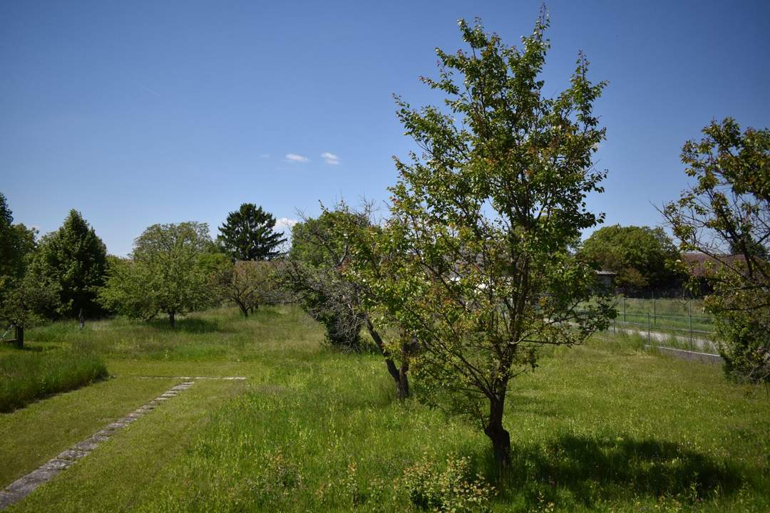 Viel Natur und kein Bauzwang