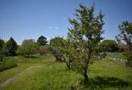 Viel Natur und kein Bauzwang