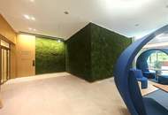 Grünblick beim Stadion