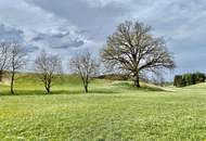 Vielseitig nutzbare Gewerbeliegenschaft zu mieten