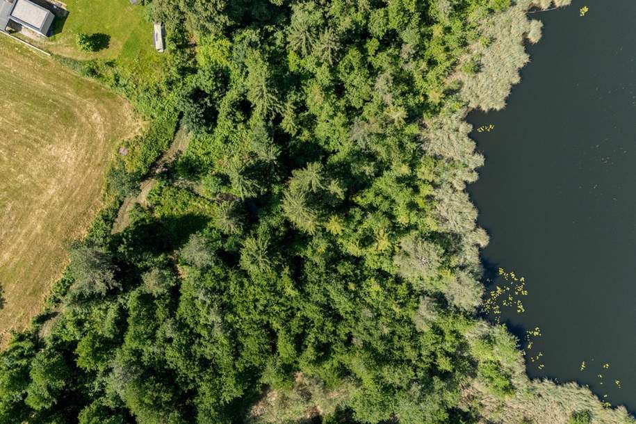 Sonniges Grundstück in Saisserseenähe, Grund und Boden-kauf, 290.000,€, 9220 Villach Land