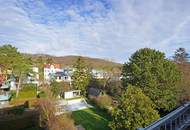 3-Zimmer-DG-Wohnung in Jahrhundertwendehaus mit Terrassen-Grünblick