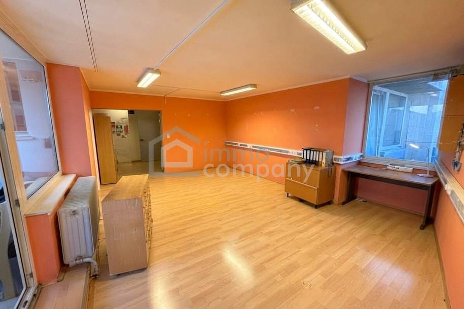 PREISHIT – großzügige Wohnung mit Entwicklungspotenzial nahe Hbf‑Wels, Wohnung-kauf, 179.000,€, 4600 Wels(Stadt)
