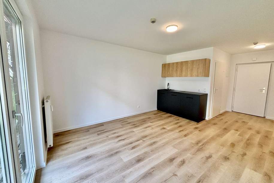 Frisch rennovierte 1-Zimmer-Wohnung mit Balkon in Kapfenberg, Wohnung-miete, 376,00,€, 8605 Bruck-Mürzzuschlag
