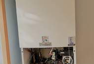 Großes Grundstück mit Einfamilienhaus und Lagerhalle