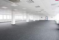 Lagerhalle 650 m2 mit Büro 230 m2 Kombination südlich von Wien, in Wr. Neudorf