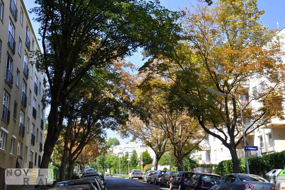 NÄHE HOHE WARTE - HELLE UND RUHIGE WOHNUNG MIT GARTENNUTZUNG, Wohnung-miete, 720,00,€, 1190 Wien 19., Döbling