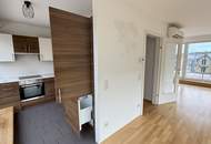 Klimatisierte 2-Zimmer-Wohnung mit zwei Terrassen und Ausblick auf das Schloss Schönbrunn und Steinhofkirche sowie ein opt. Stellplatz!