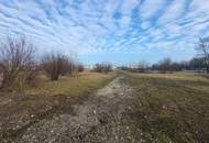 Baugrundstück Wels-Ost Ginzkeystraße