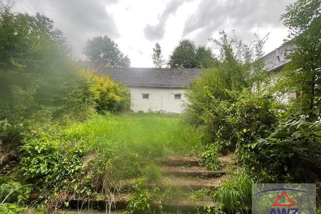 Günstiger Hof für Bastler im Waldviertel!, Haus-kauf, 75.000,€, 3800 Zwettl