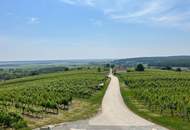 WEINIDYLLE SÜDBURGENLAND - Weinkeller im schönen, sonnigen Eisenberg