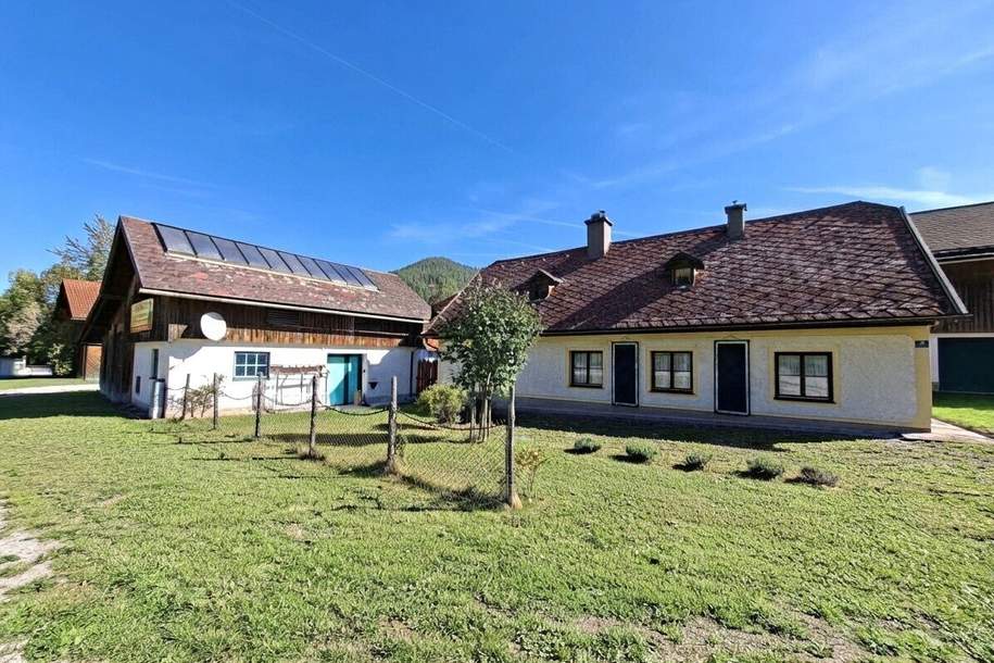 Anwesen mit insges. 23.600m² Fläche, 2 Wohnhäuser, Nebengebäude, Wirtschaftsgebäude, Garagen, Haus-kauf, 900.000,€, 3195 Lilienfeld