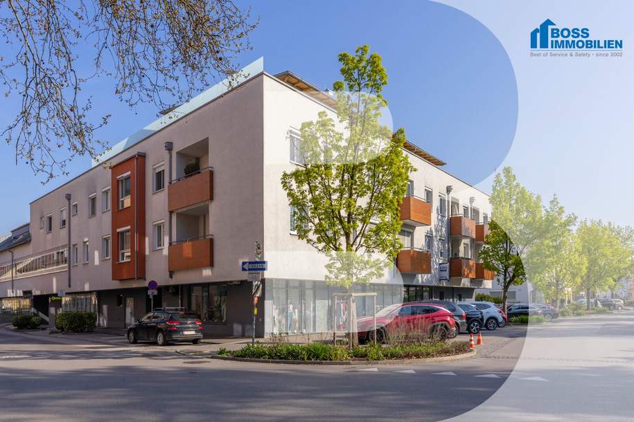 Solo, Wohnung-miete, 687,00,€, 4050 Linz-Land
