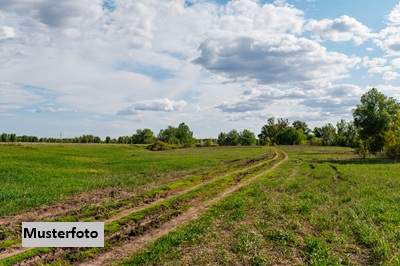 2 Landwirtschaftsflächen