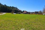 Neubau: Massivhaus (ca. 114m²) in Pöndorf-Hocheck
