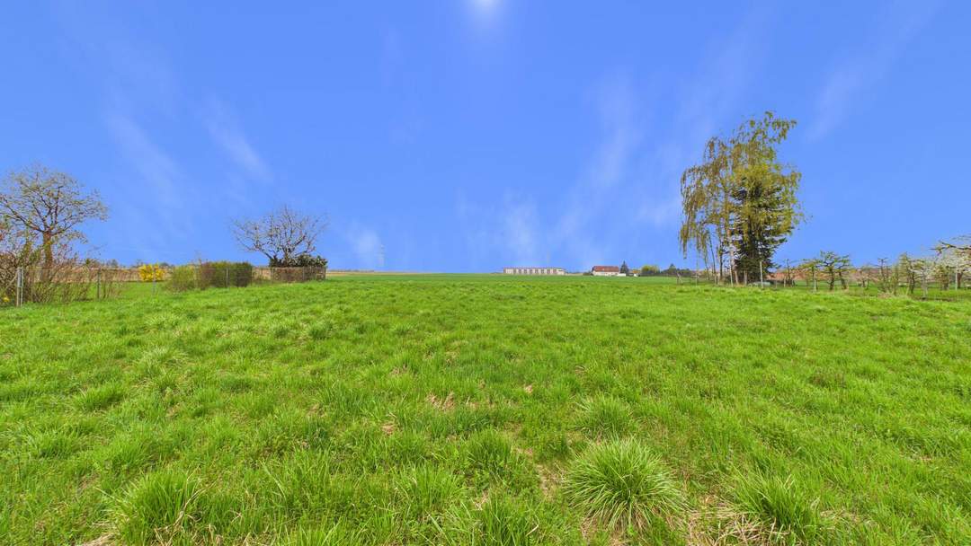 Traumgrundstück in TOP LAGE (Rebhahnweg) Zum Bauen oder als sichere Geldanlage