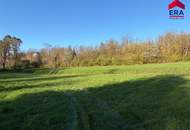 Freizeitgrundstück in Gaweinstal – ruhige Grünlage mit viel Natur und Entwicklungspotenzial