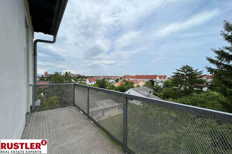 3 Zimmer Altbauwohnung mit Balkon in Mödling, Wohnung-miete, 995,00,€, 2340 Mödling