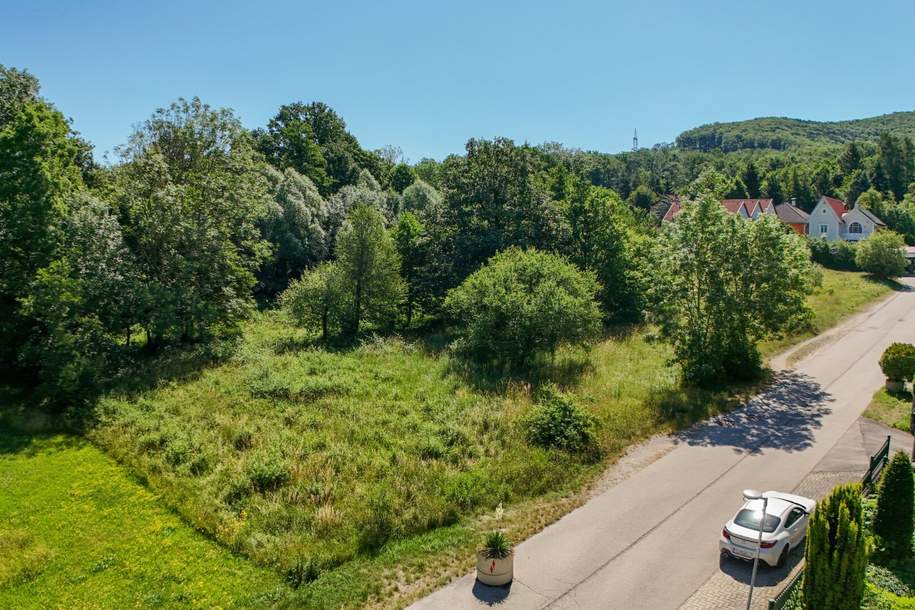 Traumgrundstück in einer der begehrtesten Lagen Purkersdorfs, Grund und Boden-kauf, 295.000,€, 3002 Sankt Pölten(Land)