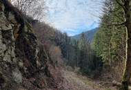 Traumhaftes Landgut mit über 25 ha in Pernegg in der Steiermark !