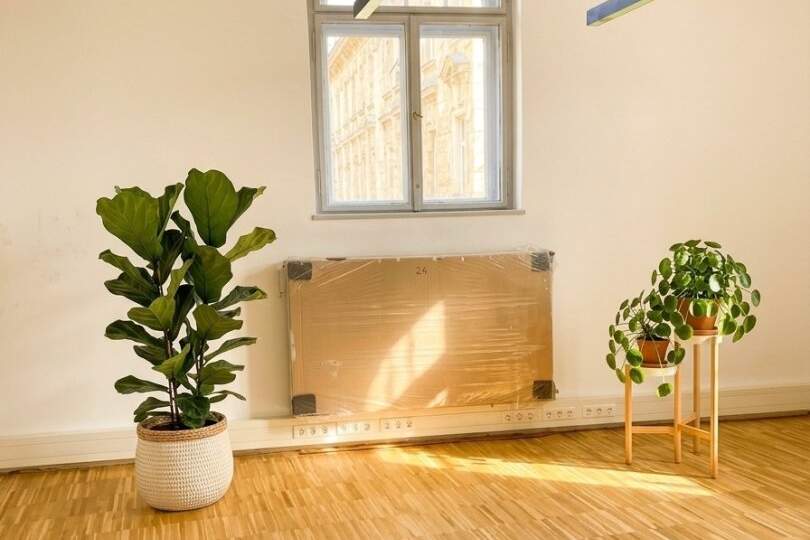NEU | ERSTBEZUG | Exklusive Bürofläche "Jasmin" in bester Lage von Baden, Gewerbeobjekt-miete, 4.070,48,€, 2500 Baden
