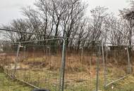 Lagerflächen, KFZ-Stellplätze, Garage, Container - PROVISIONSFREI !