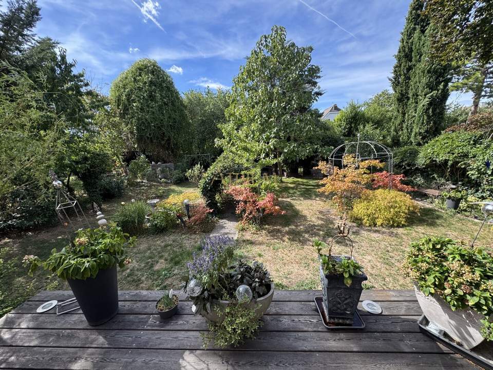 *** HAUS SUCHT INVESTOR ***