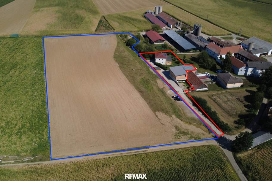 Großzügiges Einfamilienhaus mit Werkstatt und ca. 2 ha Ackerfläche, Haus-kauf, 1.240.000,€, 3042 Tulln