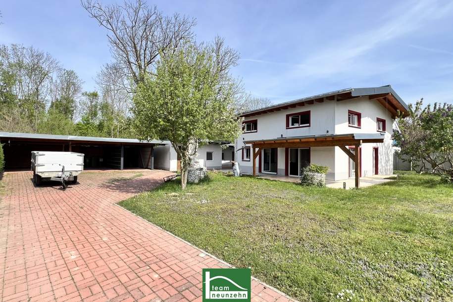 Spacious, low-energy house with an additional office/practice or apartment of 70 m². Unique location, large corner lot &amp; privat (near forest and meadows)! - JETZT ZUSCHLAGEN, Haus-kauf, 898.001,€, 2301 Gänserndorf