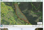 Ca. 3,9 ha Ackerfläche in +++ St. Marein - Feistritz +++