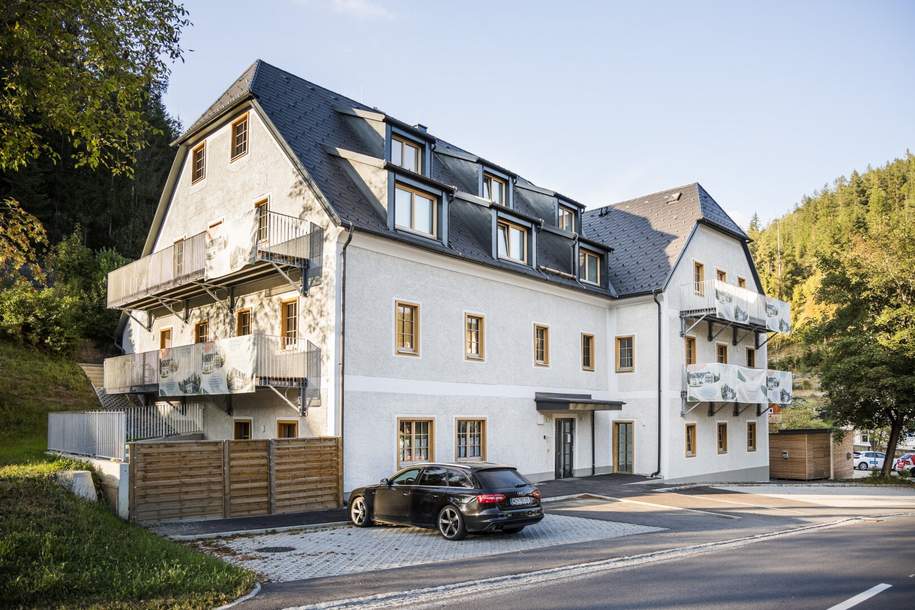 Erstbezug ruhige und helle Mietwohnung im St. Kathrein Am Hauenstein, Wohnung-miete, 728,29,€, 8672 Weiz