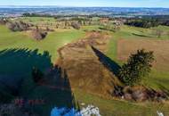 Goldene Felder für Ihre Ernte – Ihre Chance, den Boden zum Leben zu erwecken!