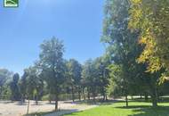 Unbefristet vermietete Wohnung nahe Augarten - Investmentchance. - WOHNTRAUM