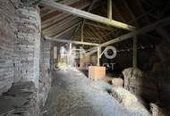 Bauernhof mit vielen Möglichkeiten im schönen Weinviertel