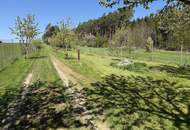 Provisionsfrei - Schönes Freizeitgrundstück mit Obstgarten