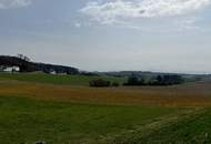 Modernes Einfamilienhaus in toller Aussichtslage - 3 mögliche Optionen - Ausbauhaus bis Schlüsselfertig