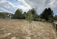 Liebevoll renoviertes Einfamilienhaus in traumhafter Aussichtslage im Südburgenland
