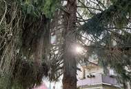 Stadthaus in Voitsberg – 5 Zimmer, Garten, Garage &amp; viel Potenzial