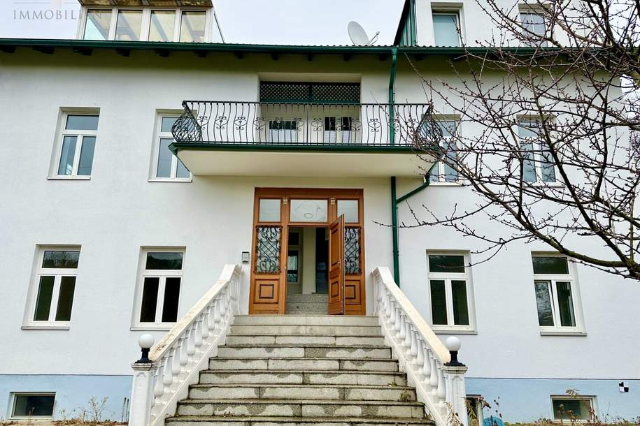 Jahrhundertwendevilla mit Seltenheitswert – im Bestand nutz- und renovierbar oder als attraktives 4-Parteien-Projekt übernehmbar, Haus-kauf, 2.950.000,€, 1140 Wien 14., Penzing