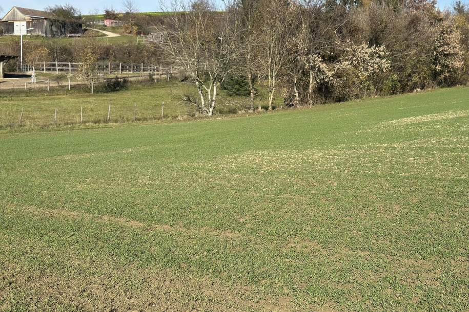 SONNIGE LEBENSQUALITÄT AM LAND FÜR IHR PRIVATES EINFAMILIENHAUS OHNE BAUZWANG, Grund und Boden-kauf, 87.620,€, 3701 Tulln