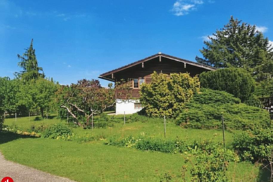Ihr Stückchen heile Welt – charmantes Blockhaus mit viel Platz im Grünen, Haus-kauf, 333.000,€, 2824 Neunkirchen