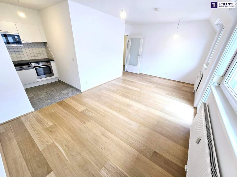 NEU! Klein und kompakt im 1.Dachgeschoss! Geniale Kleinwohnung - Ideal auch als Anlage! Garagenplatz optional + Perfekte Aufteilung + Fairer Preis + Tolle Infrastruktur!